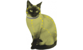 Natural Flea and Tick Collar For Cat