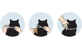 Natural Flea and Tick Collar For Cat